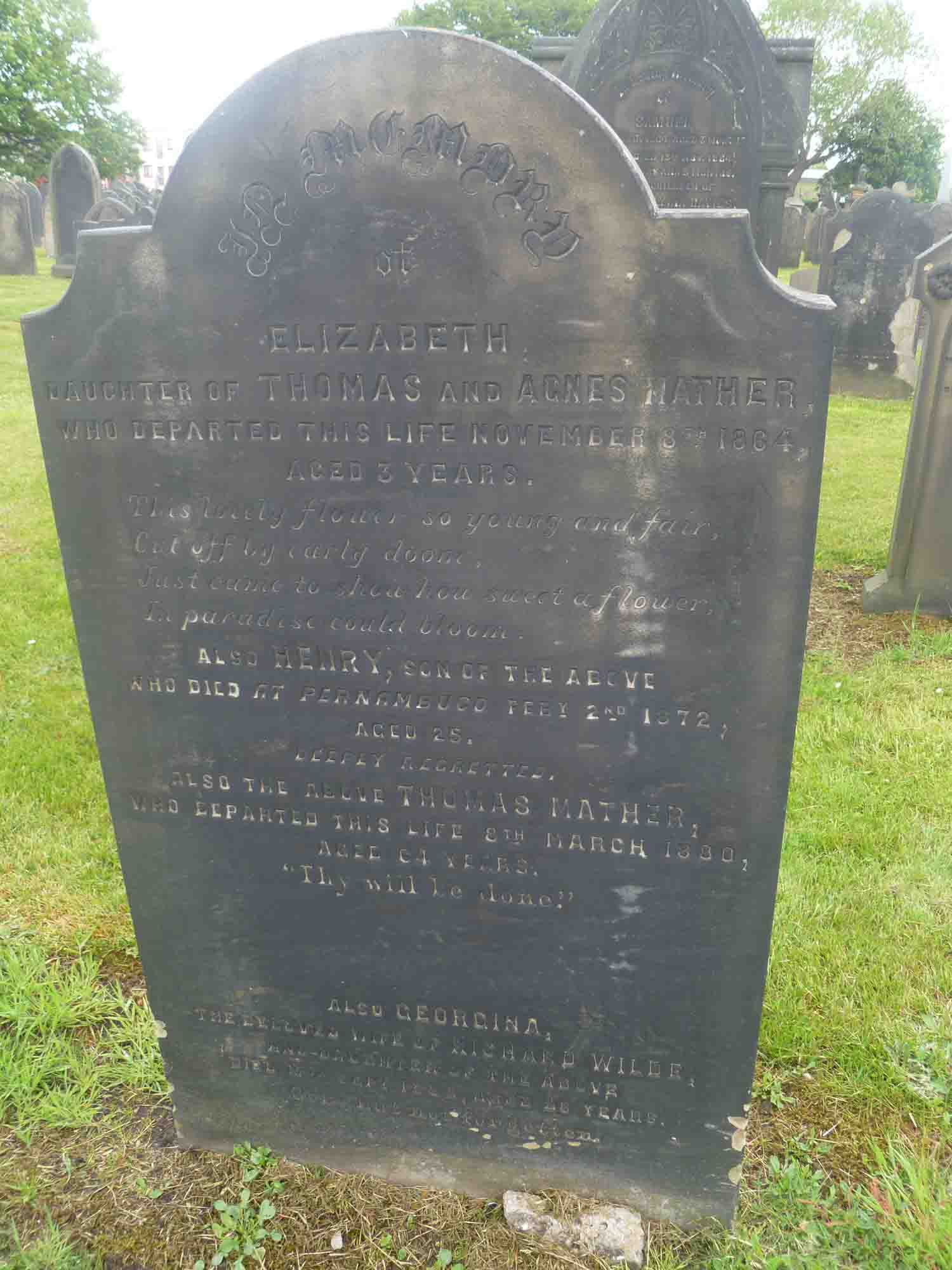 Mather & Wilde (H Left 701)
